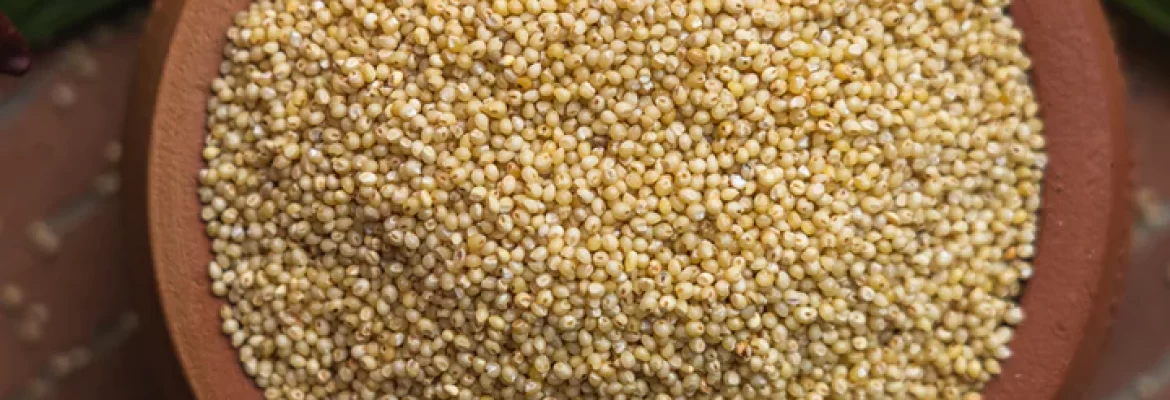 Organic Browntop Millet (Andu Korralu)