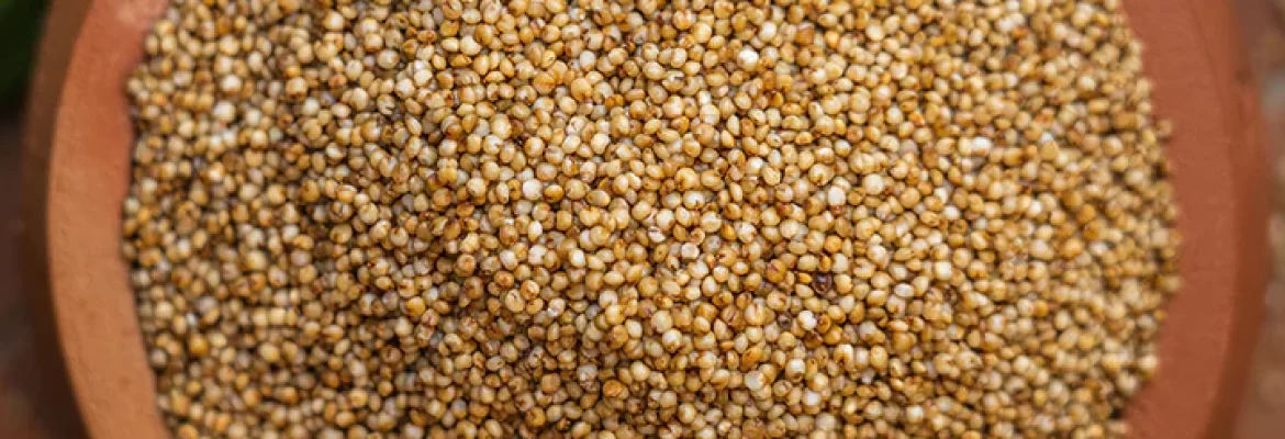 Organic Kodo Millet (Arikalu)