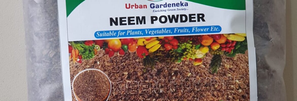 Neem powder