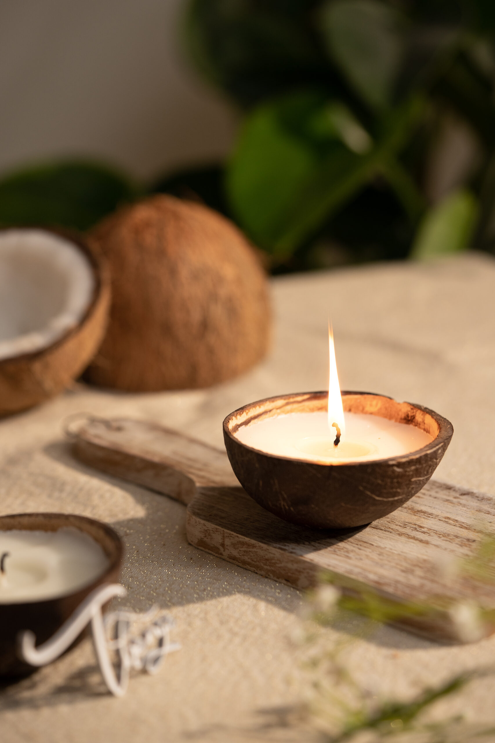 Coconut Shell Eco-Friendly Candle/Diya