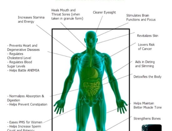 Spirulina Netrin’s Tablets