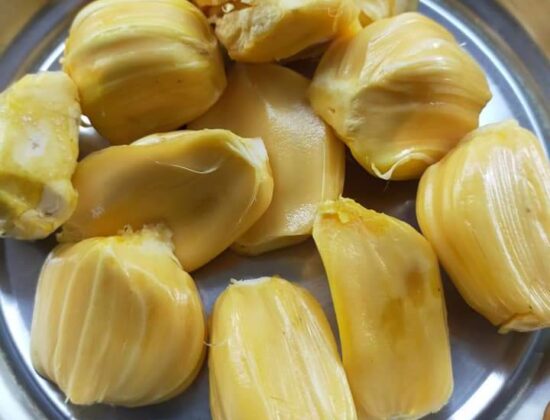 Thailand all time Jackfruit (plants)