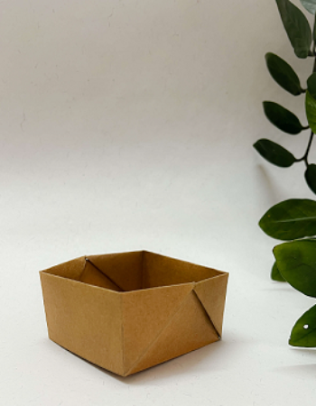 250ml Disposable Kraft Bowl