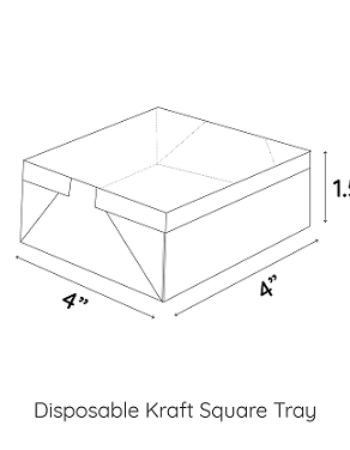 250ml Disposable Kraft serving Tray