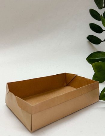 500ml Disposable Kraft serving Tray