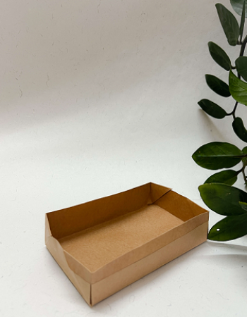 500ml Disposable Kraft serving Tray