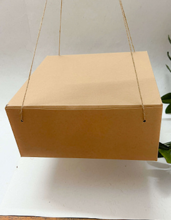 1/2kg Kraft Cake Box